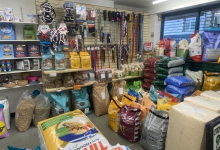 pet-shop-in-barnsley-590738